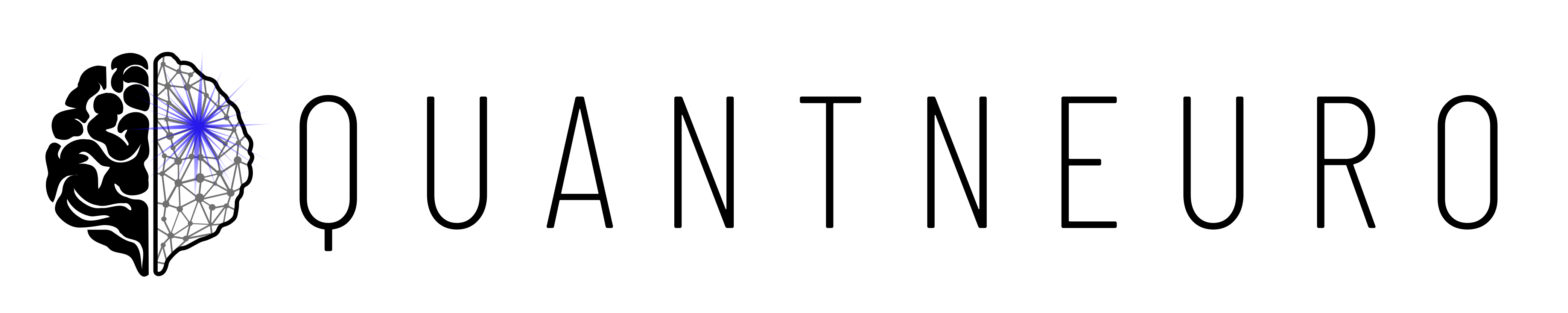 QuantNeuro