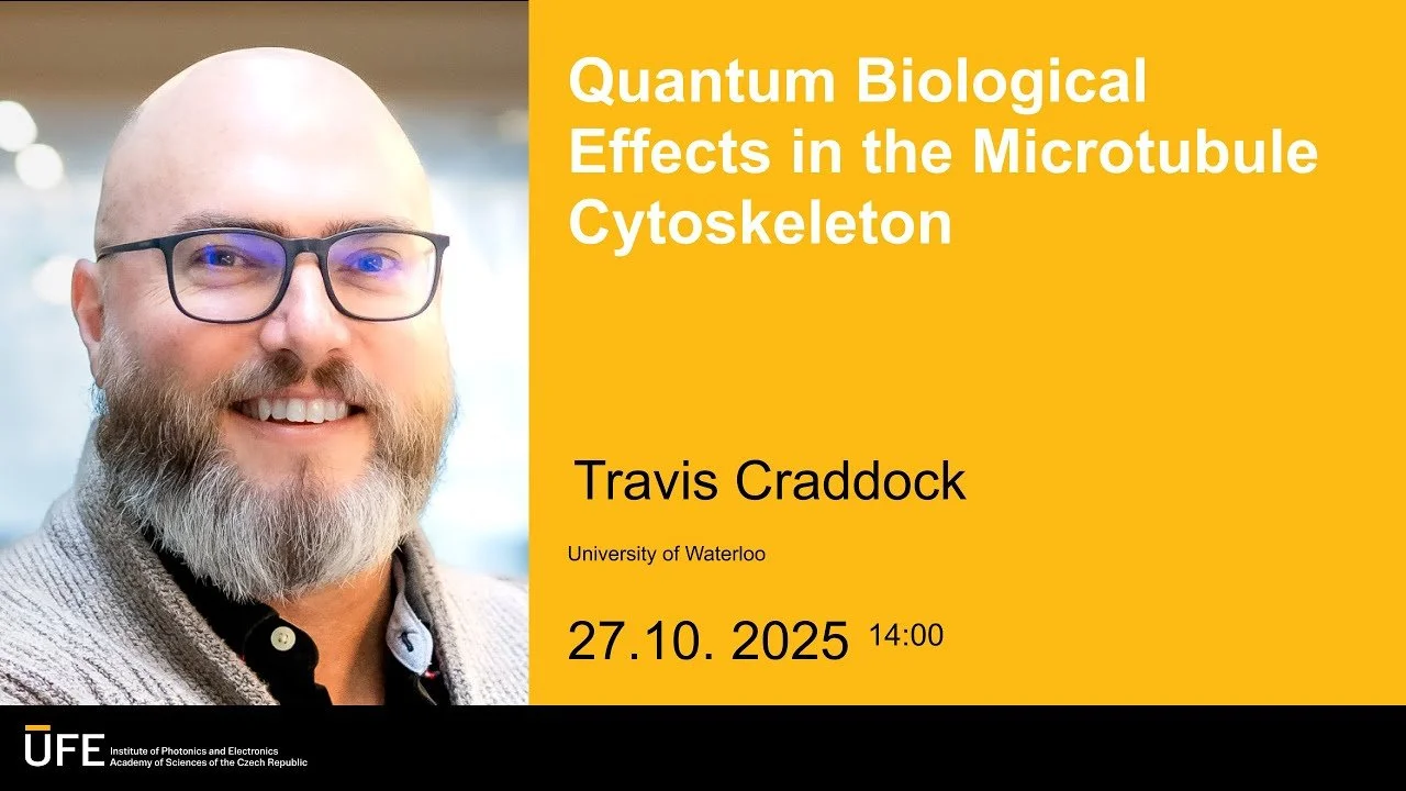 Quantum biological effects in microtubules